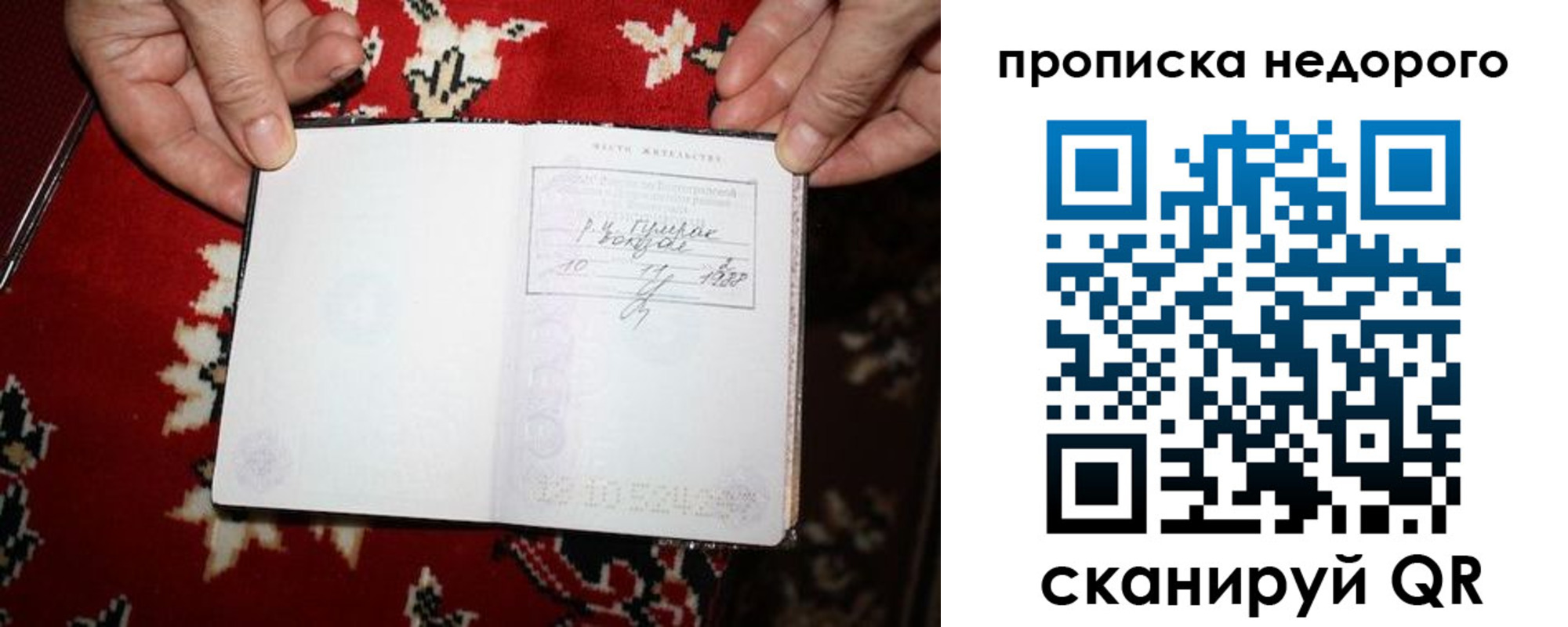 прописка гарантия в Шарье